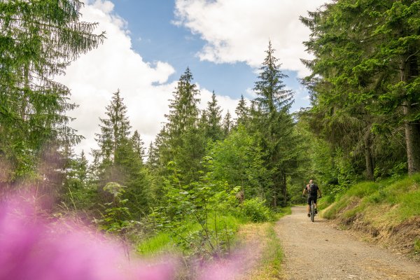 Wallrafweg zur Richteralpe