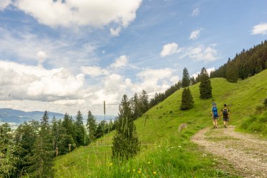 Wallrafweg zur Richteralpe