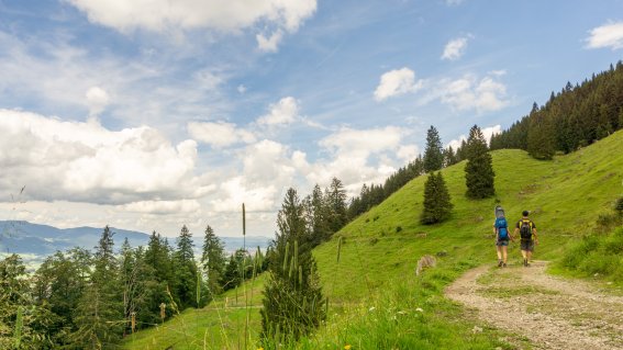 Wallrafweg zur Richteralpe