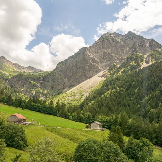 Wallrafweg zur Richteralpe