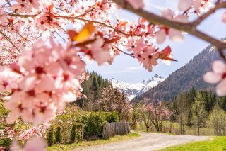 Gerstruben im Frühling