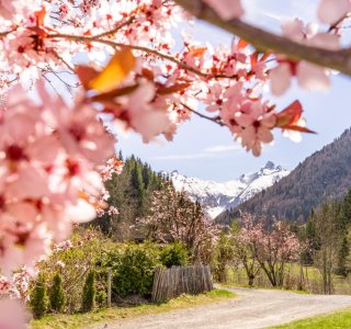 Gerstruben im Frühling