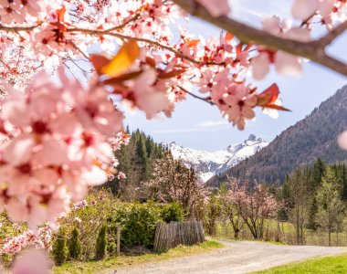 Gerstruben im Frühling