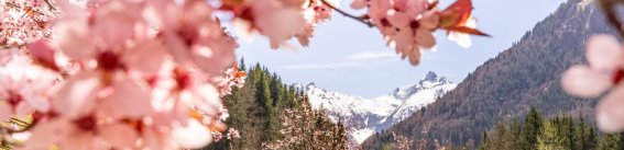 Gerstruben im Frühling