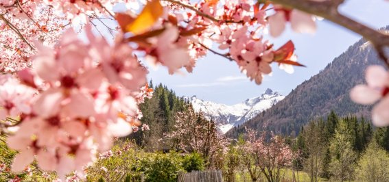 Gerstruben im Frühling