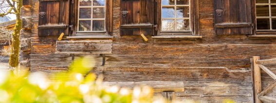 Gerstruben im Frühling