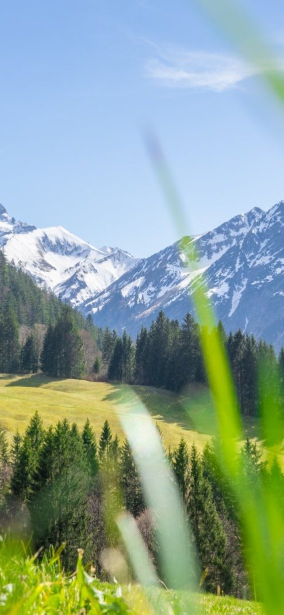 Gerstruben im Frühling