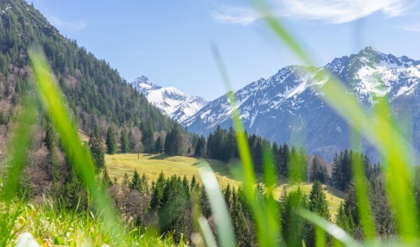 Gerstruben im Frühling
