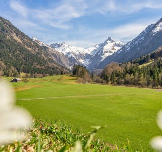 Gerstruben im Frühling