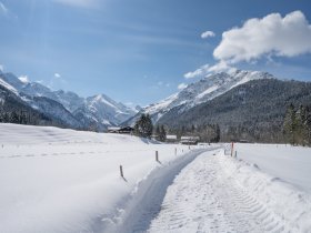 19.03. Stillachtal und Einödsbach-012