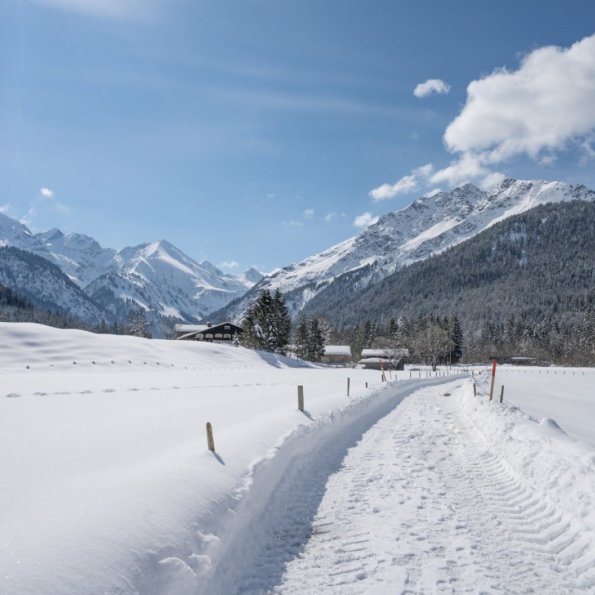 19.03. Stillachtal und Einödsbach-012
