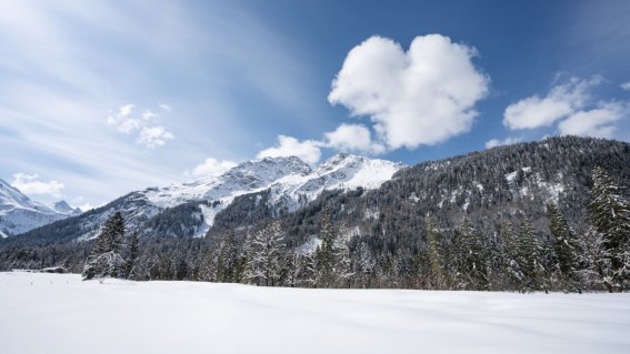 19.03. Stillachtal und Einödsbach-018 Kopie