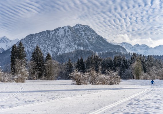 Winterliche Wiesen um Oberstdorf