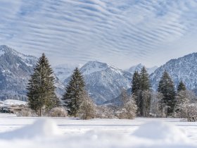 Winterliche Wiesen um Oberstdorf