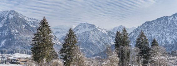 Winterliche Wiesen um Oberstdorf