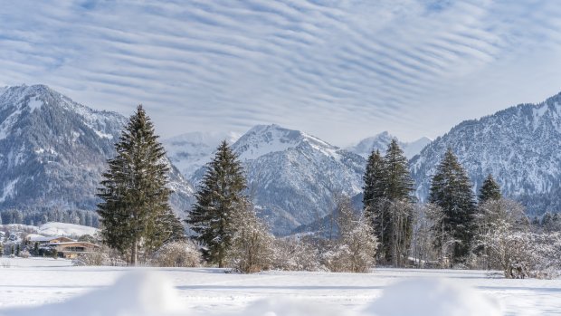 Winterliche Wiesen um Oberstdorf