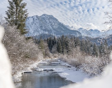 Winterliche Wiesen um Oberstdorf
