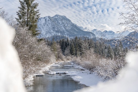 Winterliche Wiesen um Oberstdorf