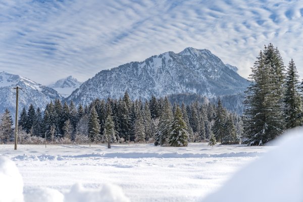 Winterliche Wiesen um Oberstdorf