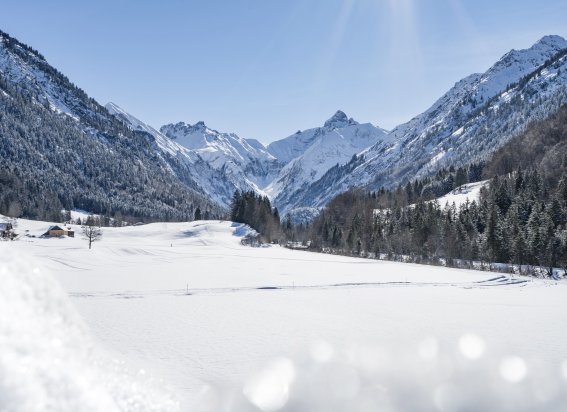 Christlessee & Spielmansau im Winter