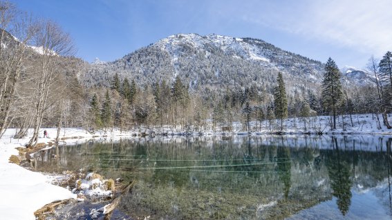 Christlessee & Spielmansau im Winter