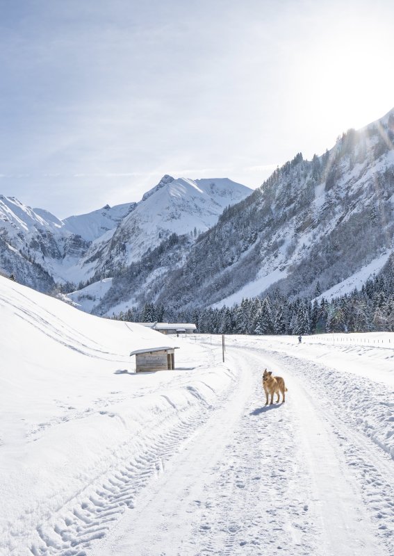 Christlessee & Spielmansau im Winter
