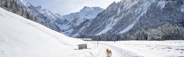 Christlessee & Spielmansau im Winter