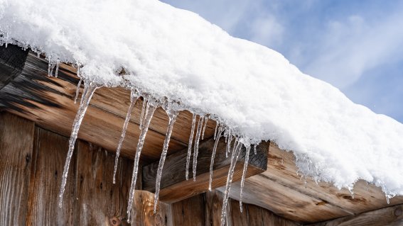 18.03. Wiesen Neuschnee