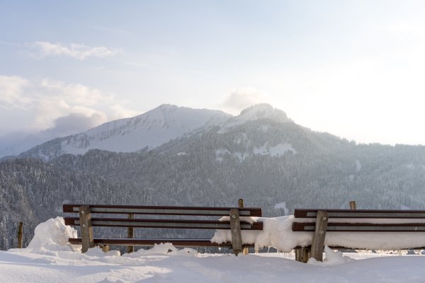 18.03. Wiesen Neuschnee