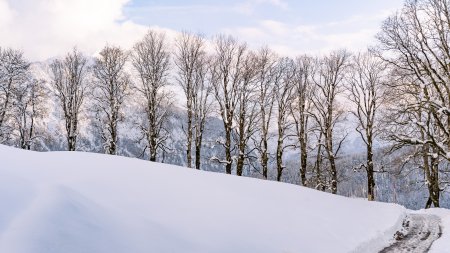 18.03. Wiesen Neuschnee