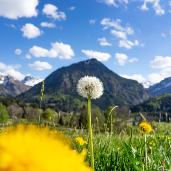 Frühling am Moorweiher