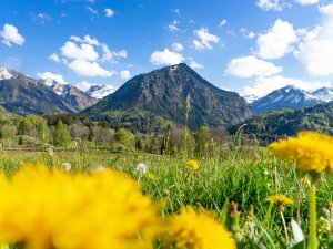 Frühling am Moorweiher