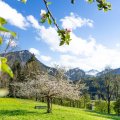 Frühling am Moorweiher
