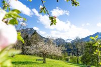 Frühling am Moorweiher