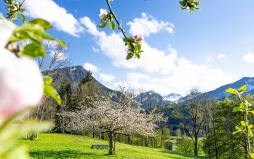 Frühling am Moorweiher