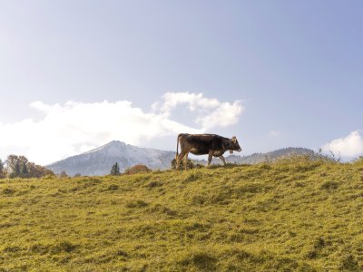 Herbstliches Trettachtal