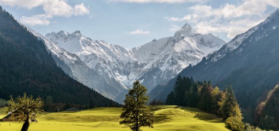 Herbstliches Trettachtal