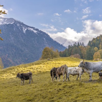Herbstliches Trettachtal