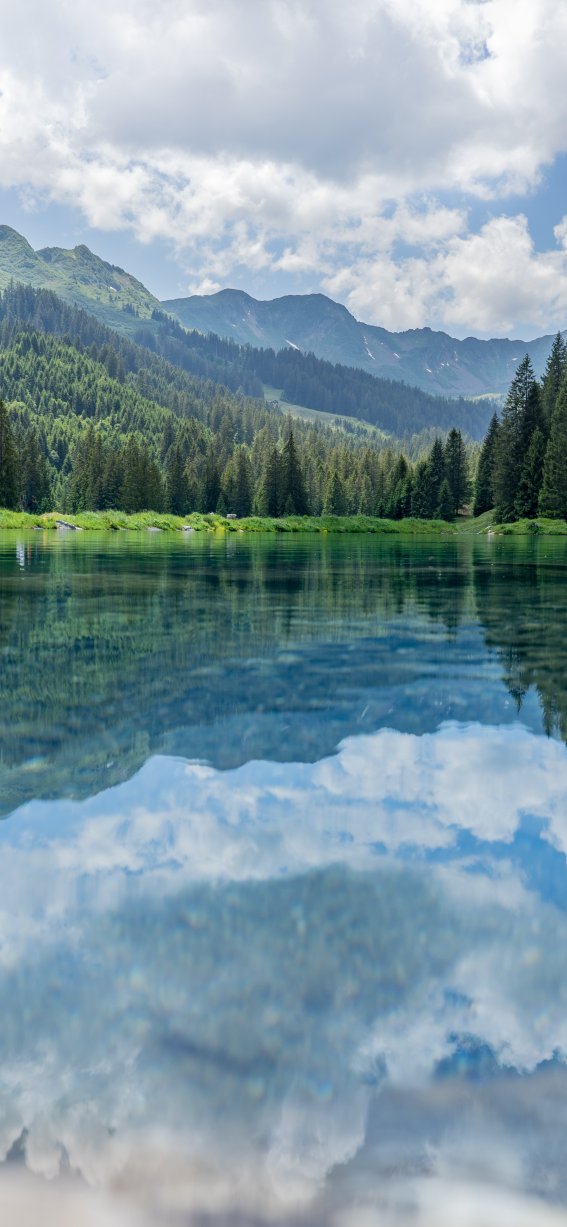 Sommer im Schwarzwassertal
