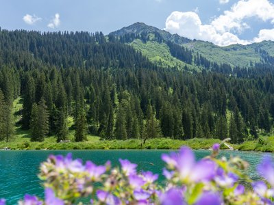 Sommer im Schwarzwassertal
