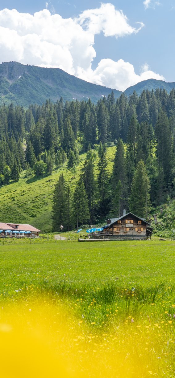 Sommer im Schwarzwassertal