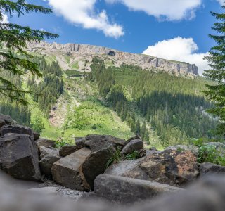 Sommer im Schwarzwassertal