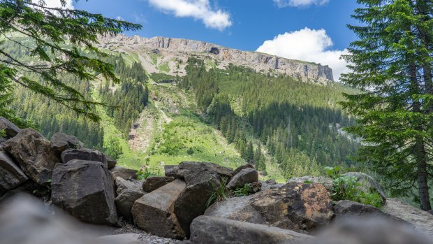 Sommer im Schwarzwassertal