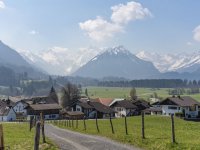 Rubi im Frühling 