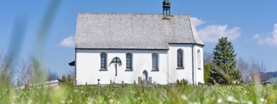 Schöllanger Burg im Frühling 