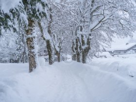 Schneegestöber in Oberstdorf