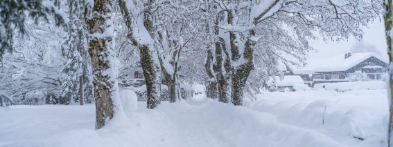 Schneegestöber in Oberstdorf