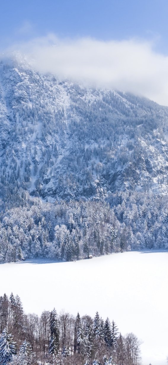 Freibergsee gehüllt in Schnee