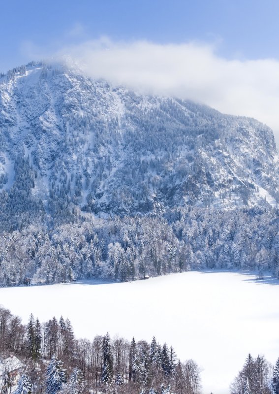 Freibergsee gehüllt in Schnee