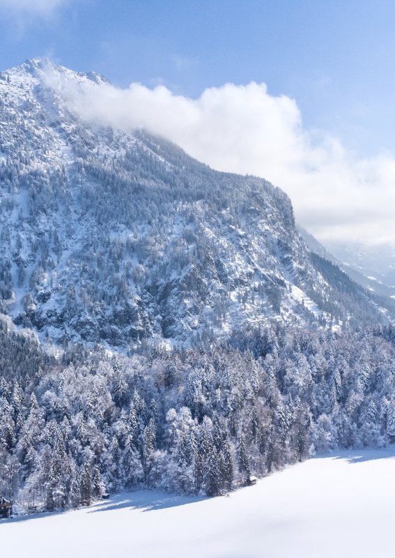 Freibergsee gehüllt in Schnee